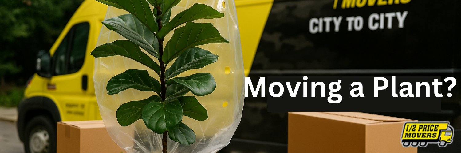 Moving a Plant? 